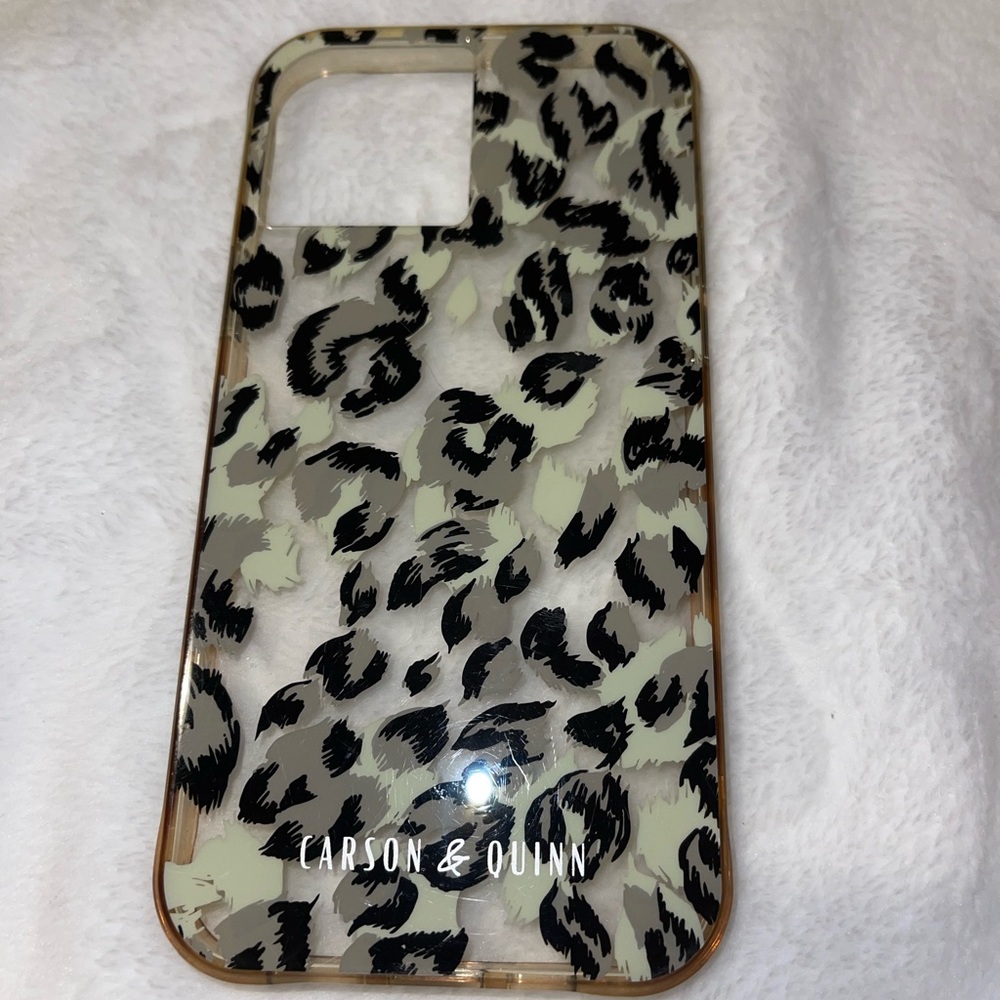 iPhone 12 Pro Max case
